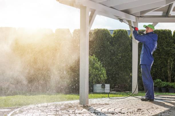 Best Solar Panel Cleaning  in Cocoa, FL